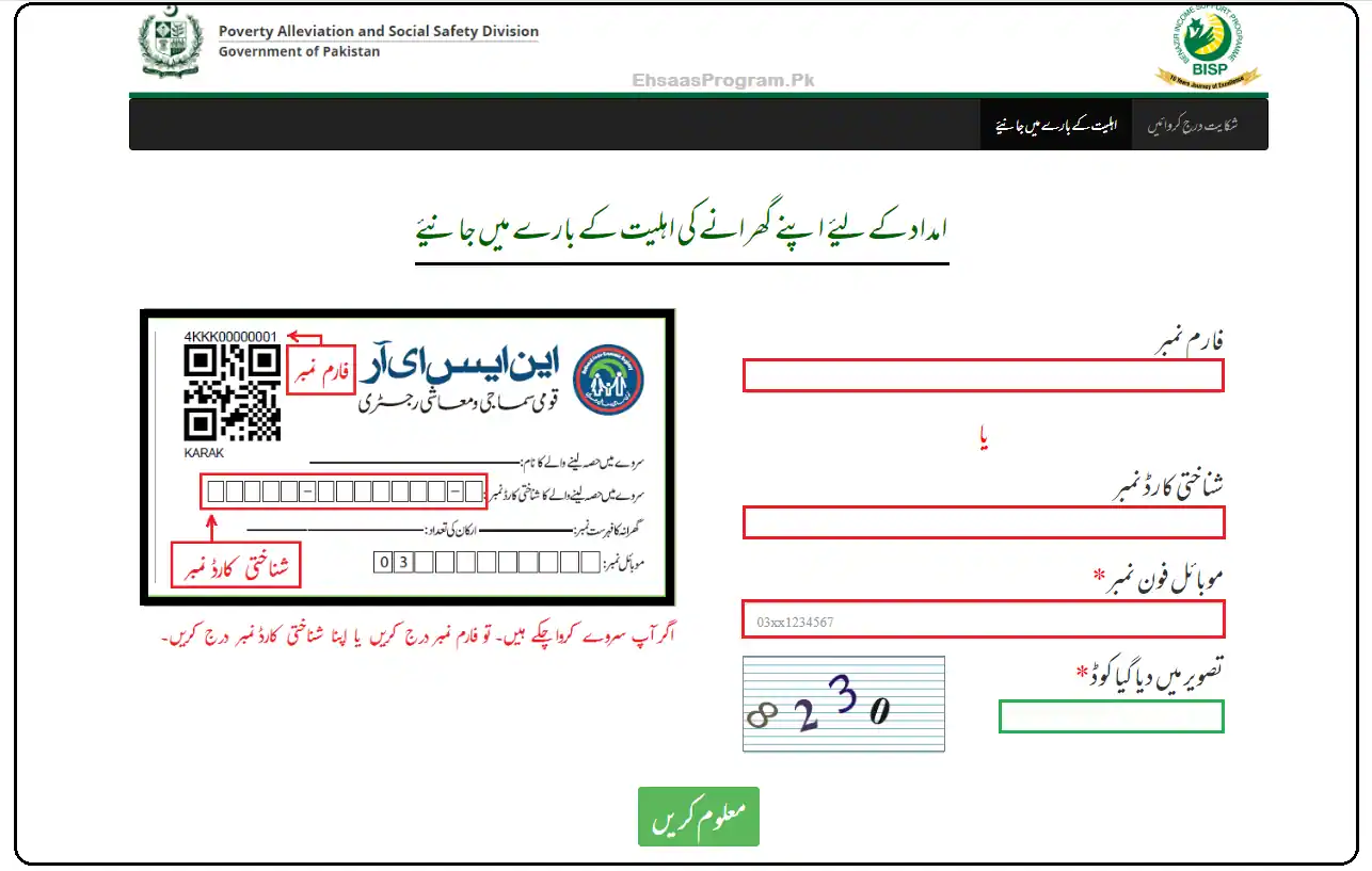 Ehsaas Program 2023 Online Registration form