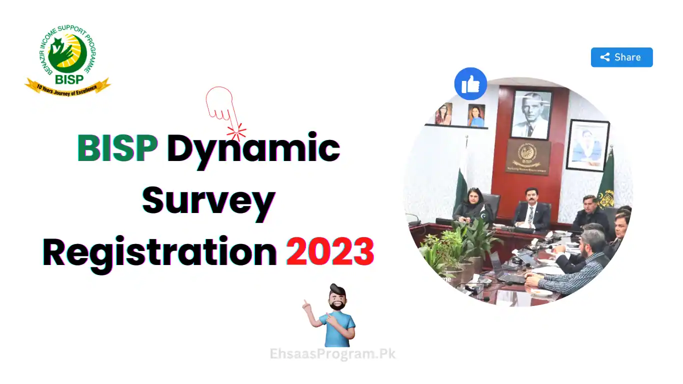 BISP Dynamic Survey 2023